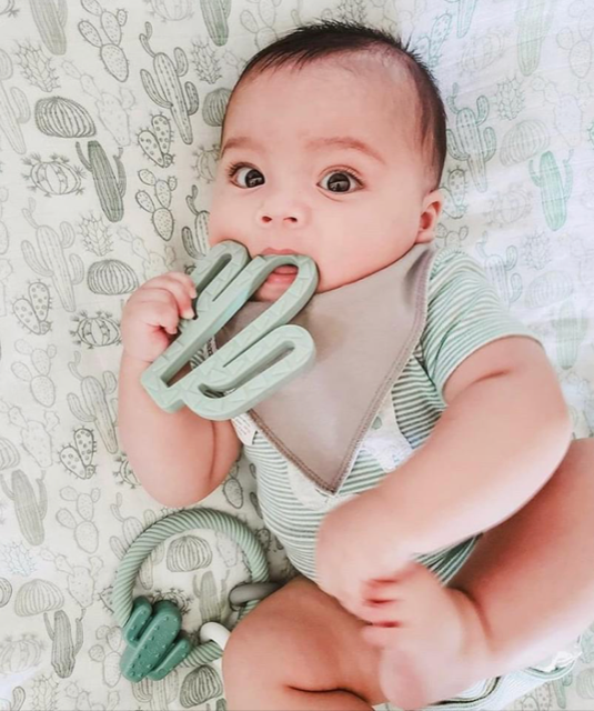 Baby Teether Cactus
