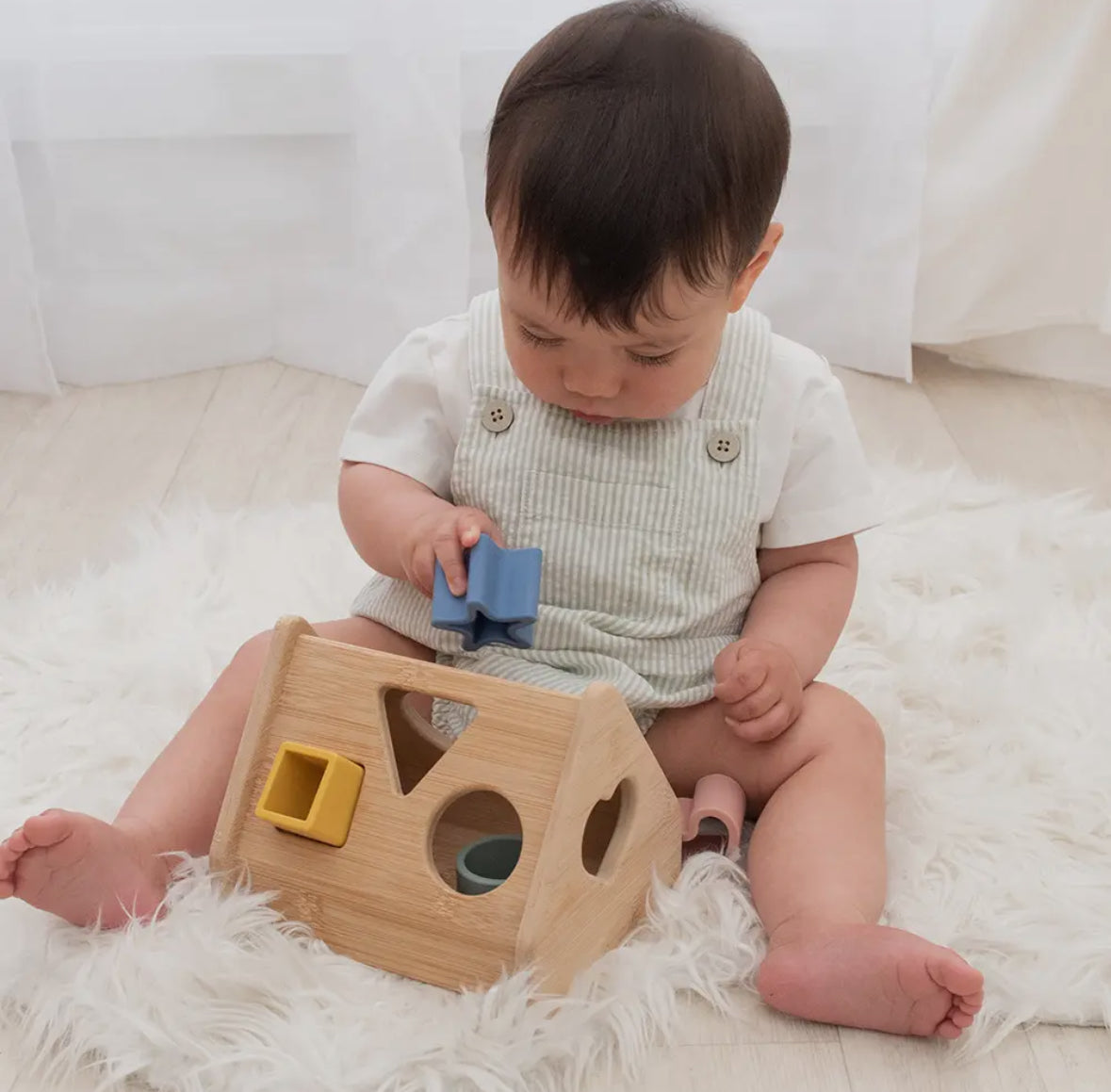 House Shape Sorter