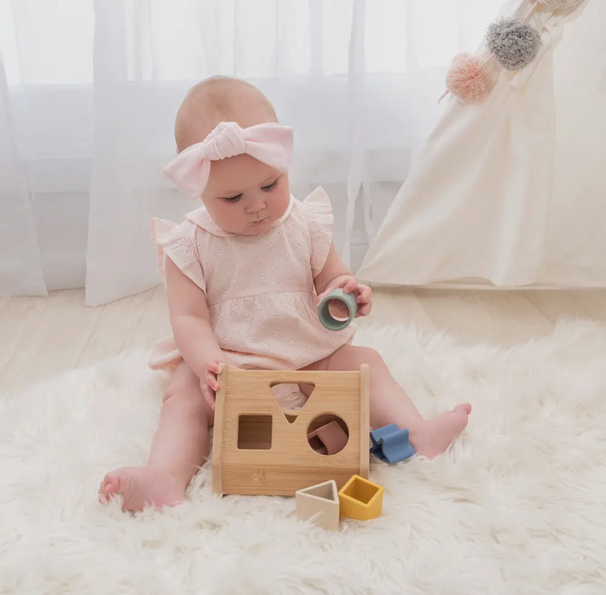 House Shape Sorter