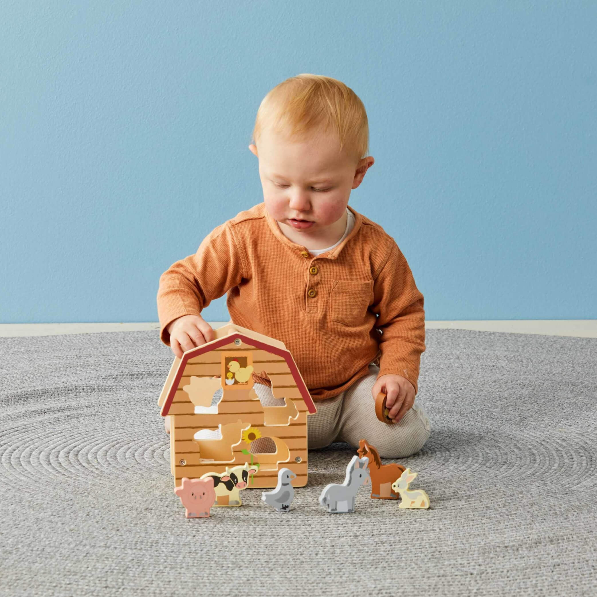 Wooden Barn Shape Sorter