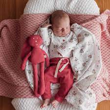 Hibiscus Organic Pants-Snuggle Hunny