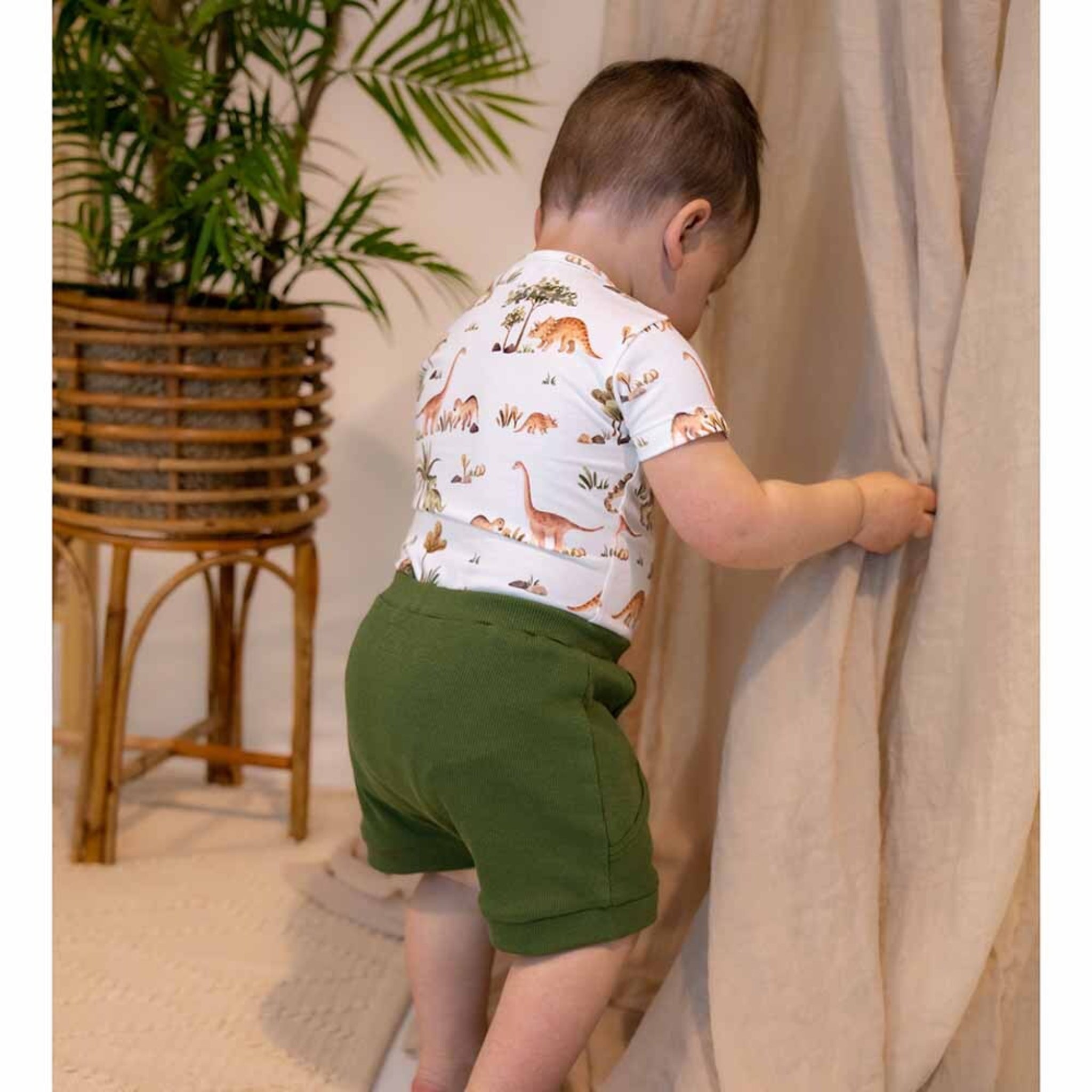 Baby Shorts Olive