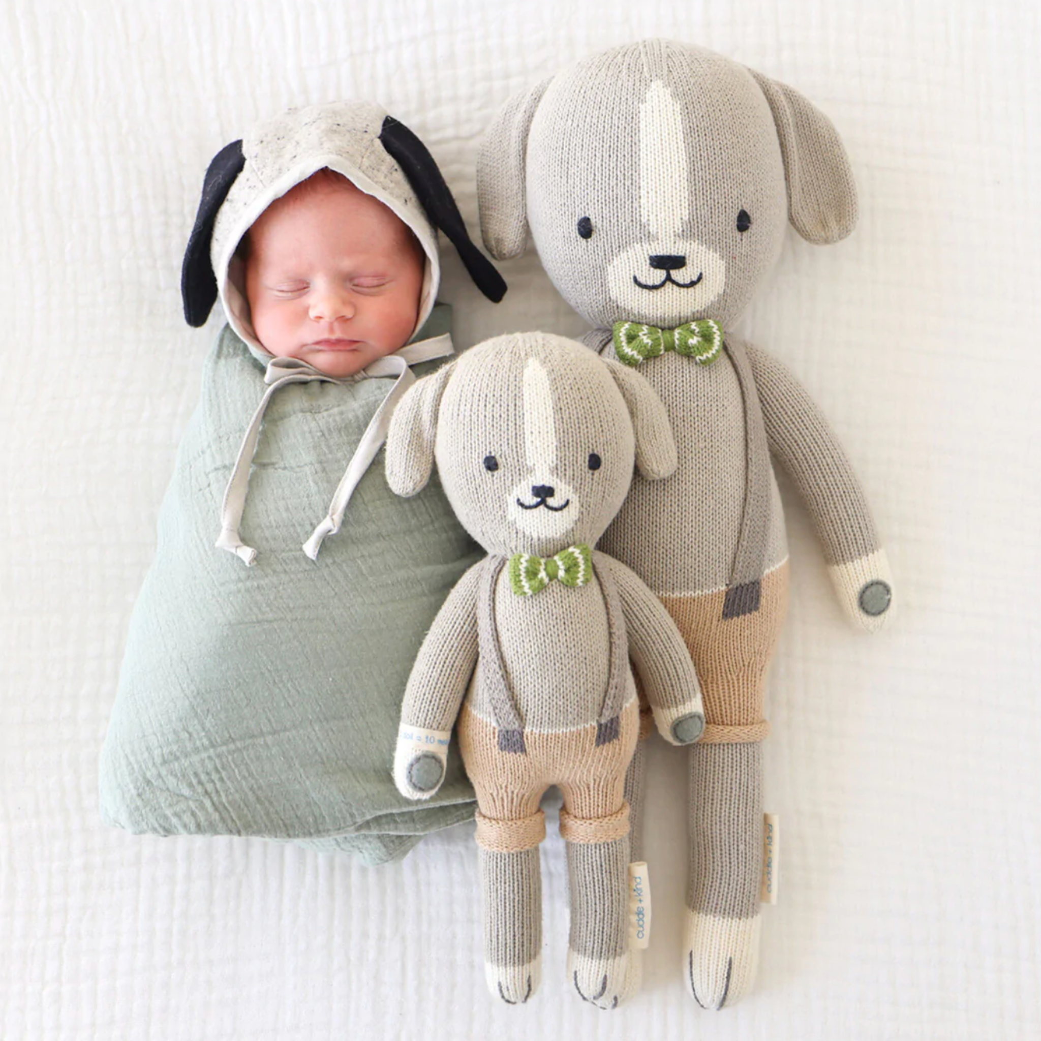 Noah The Dog | Cuddle+Kind