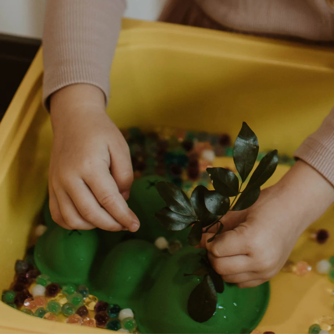 Sensory Scene Setters | Jellystone Designs