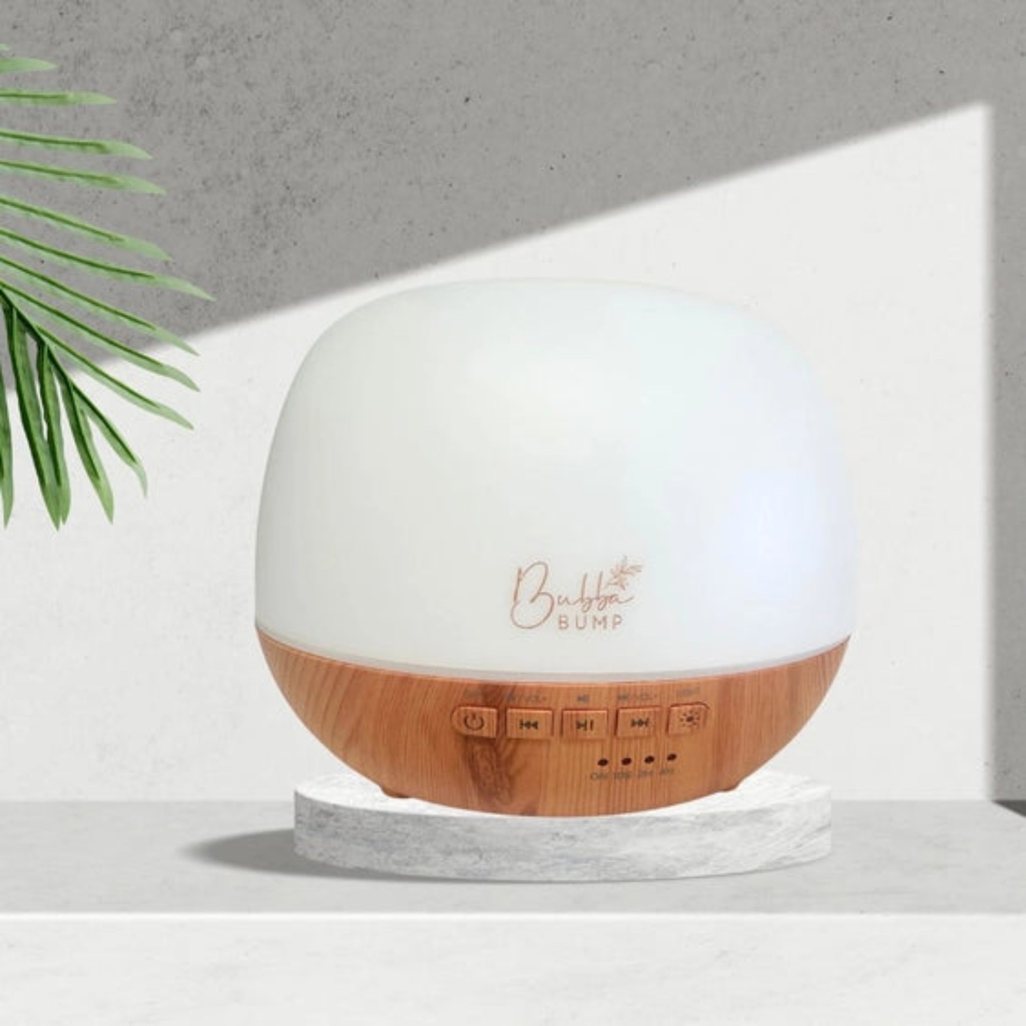 Diffuser With white Noise