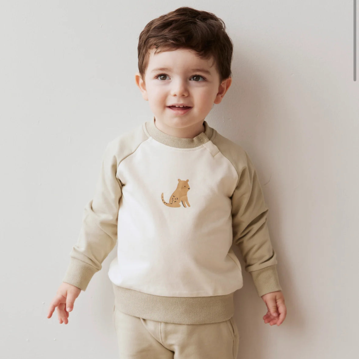 Organic Cotton Tao Sweatshirt-Honeydew-Jamie Kay