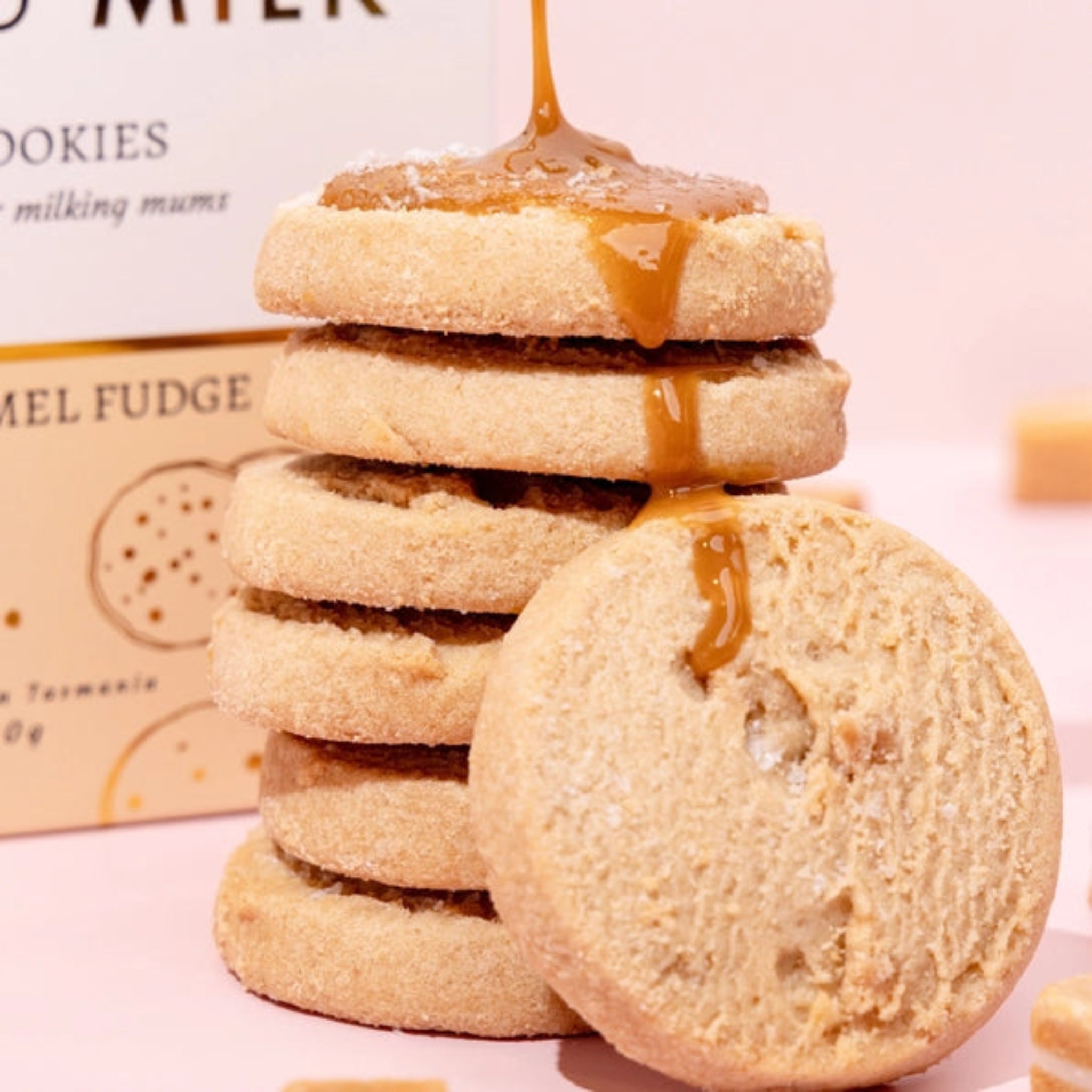Lactation Cookies Salted Caramel Fudge