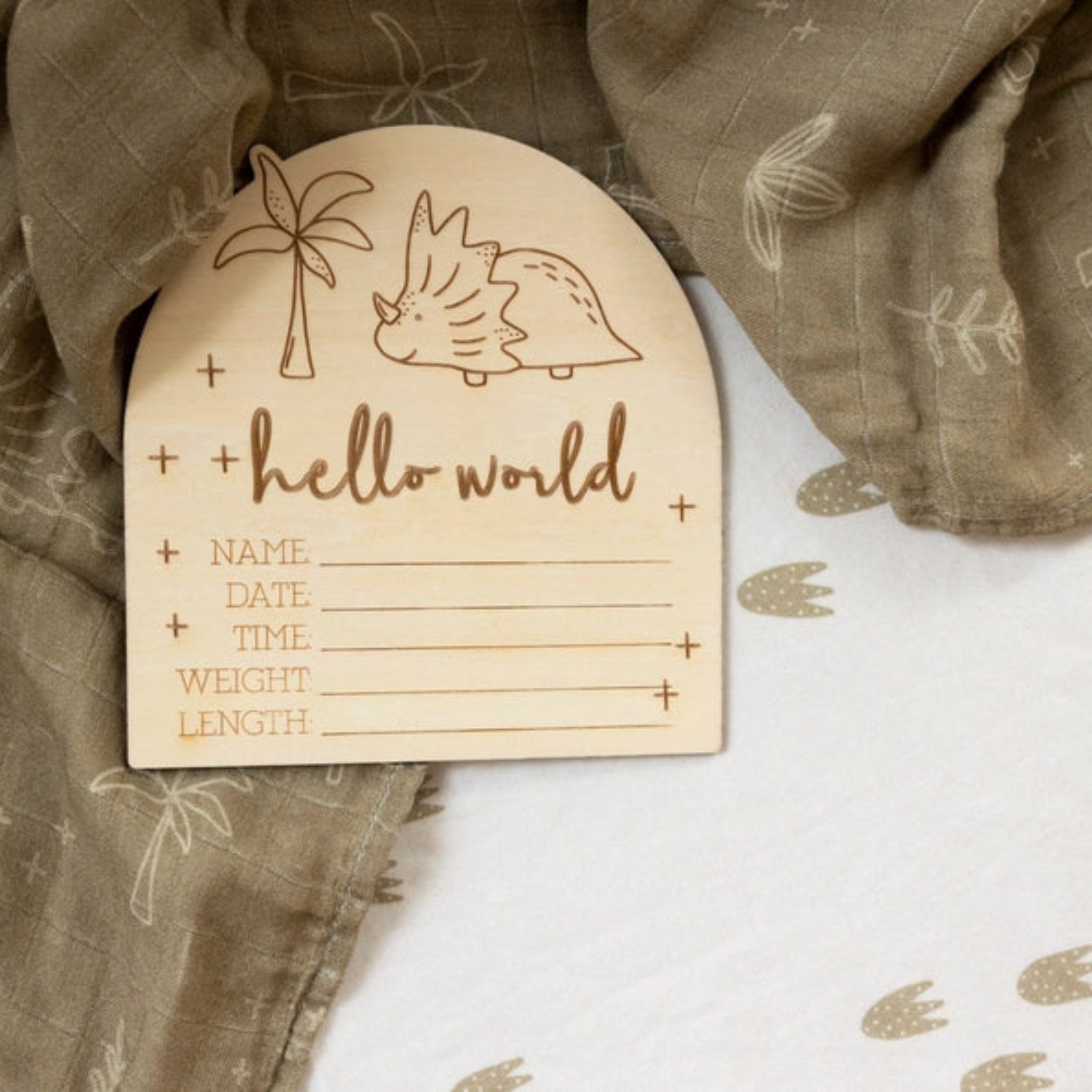 Hello World Birth Dino Disc-Timber Tinkers