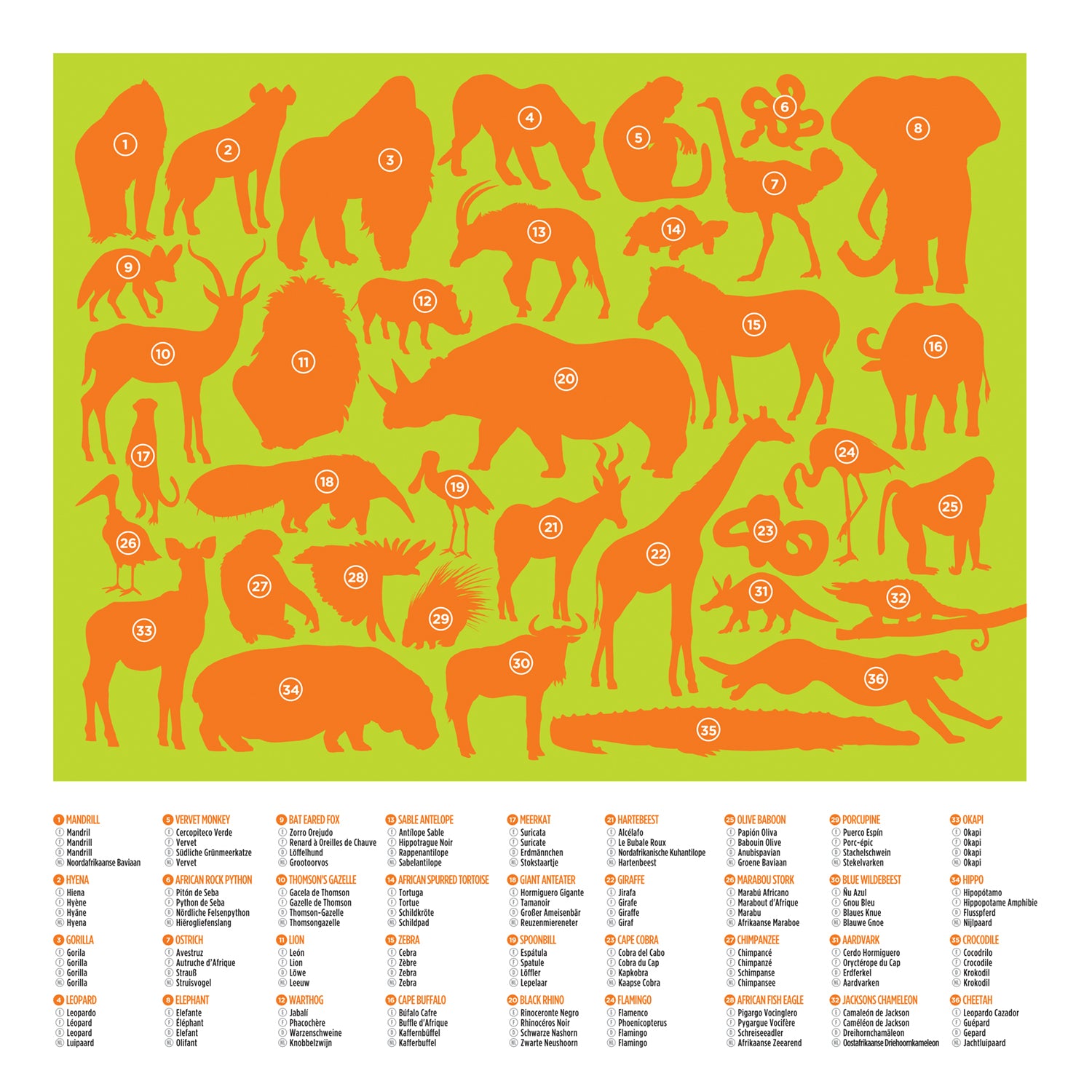 Wild Animals | 100pc Puzzle